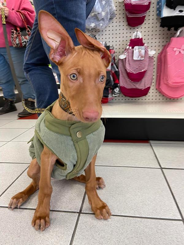 Nashville Pet Products Oshkosh, WI